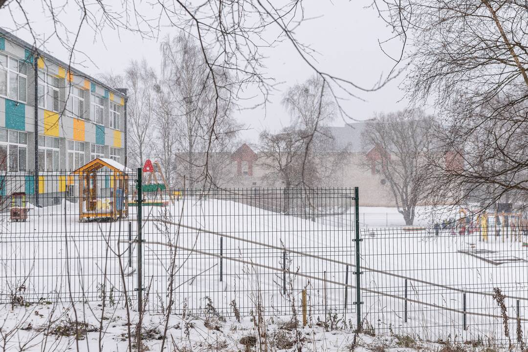 Smulkmė: šių metų aukcionuose parduoti tik gyvenamieji namai, butai ar jų dalys.