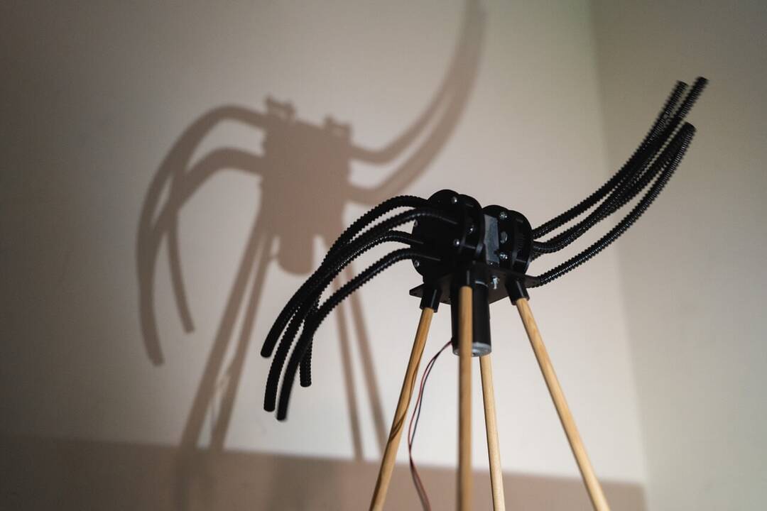 Klaipėdos lėlių teatro edukaciniame centre galima stebėti V. Suncovo sukurtų augalų-robotų choreografinius pasirodymus.
