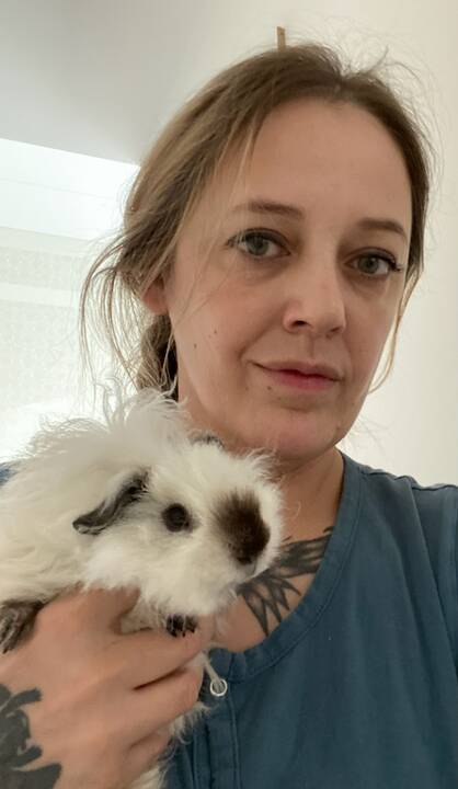 Ypatingos: jūrų kiaulytės – labai mieli, protingi gyvūnėliai, kuriems reikia tam tikrų gyvenimo sąlygų, draugo ir žmogaus.