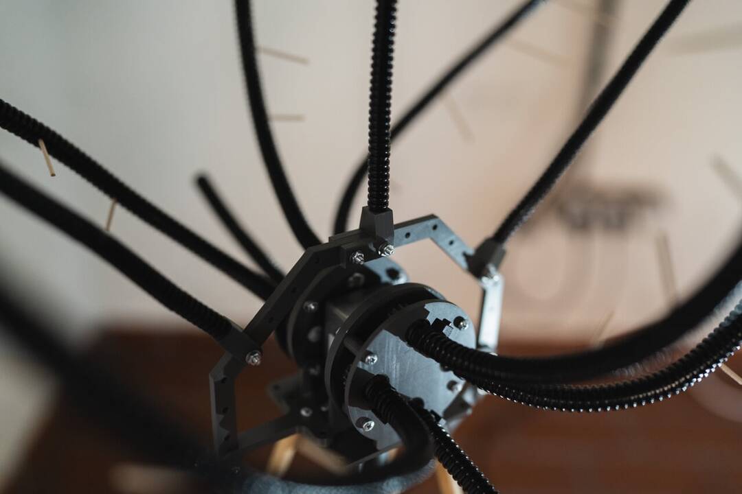 Klaipėdos lėlių teatro edukaciniame centre galima stebėti V. Suncovo sukurtų augalų-robotų choreografinius pasirodymus.