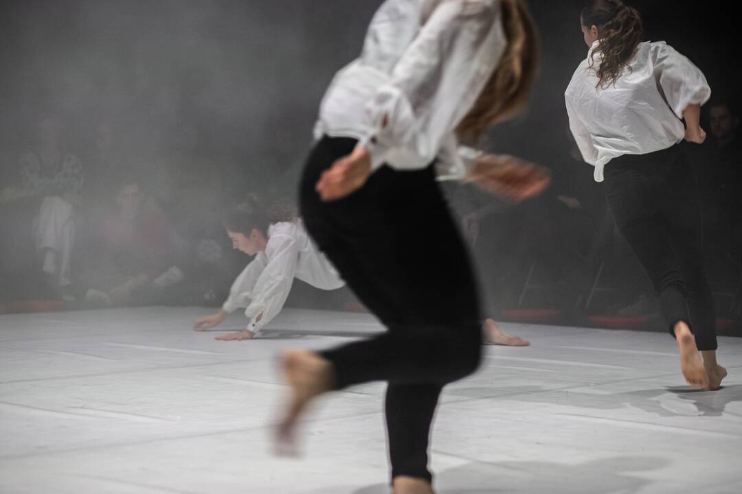 Choreografija: pasakojimo audinį kūrė visos trys šokėjos, atlikusios ir solo partijas.
