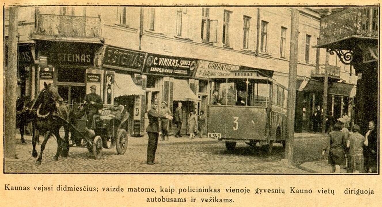 Istorija: M. Daukšos gatvė, jidiš vadinama Jatkever gas („Mėsinių gatvė“) – svarbiausia ir judriausia žydų gatvė tarpukario Kaune. Nuotraukoje matome Eljaševų namo numerį.