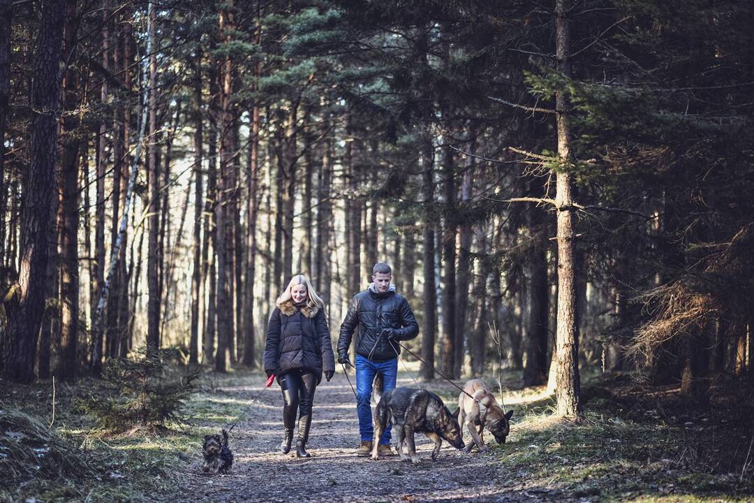 Ne visi: nuotraukos, kurioje tilptų visi Labučių šeimos nariai – žmonės ir šunys, dar joks fotografas nepadarė. 