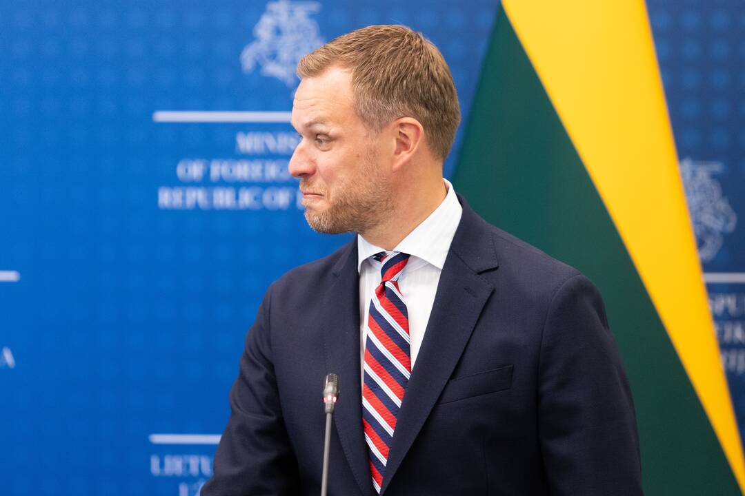 Faktas: K. Kallas tarptautiniu lygmeniu tikrai buvo matoma ir girdima labiau nei I. Šimonytė.