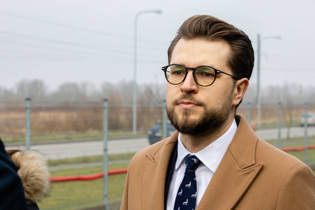 Dominuoja: didžiąją dalį viešųjų įstaigų, kuriose dalyvauja valstybė ar savivaldybė, sudaro viešąsias paslaugas teikiančios viešosios įstaigos – pavyzdžiui, universitetai.