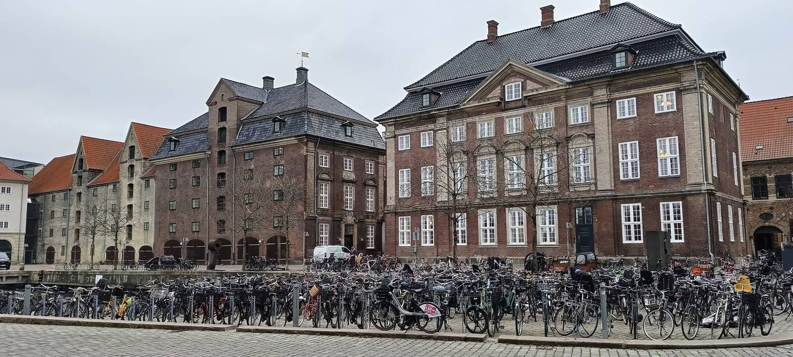 Oazė: Kristianija – tai Kopenhagos hipių, neformalų, menininkų ir šiaip žmonių, gyvenančių ne pagal visuotinai nustatytas normas, teritorija.