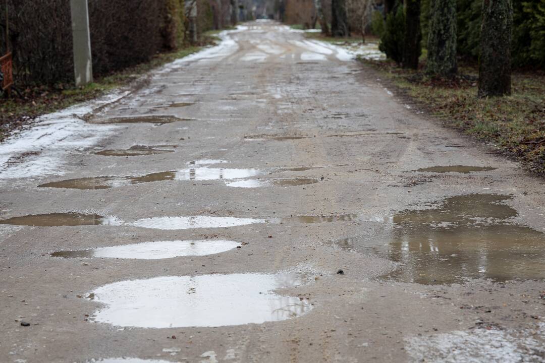 Ypatumai: sodų bendrijose namų dydis ir formos sudaro specifinį margumyną. 