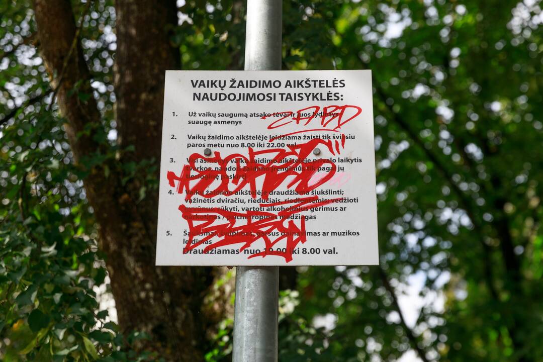  Suoliukai: šalia krepšinio aikštelės vyksta su sportu visiškai nesusijęs vakarinis gyvenimas. 