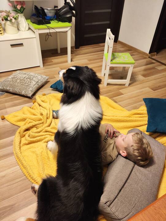 Ne visi: nuotraukos, kurioje tilptų visi Labučių šeimos nariai – žmonės ir šunys, dar joks fotografas nepadarė. 