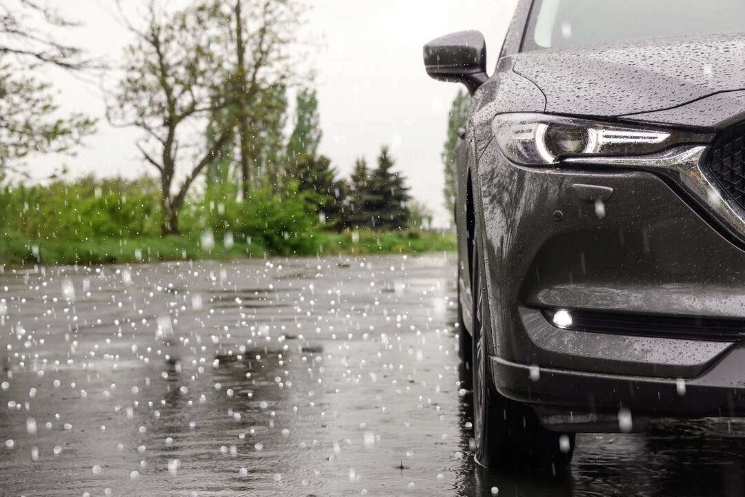 Tikimybė: prie medžių paliktas automobilis po audros gali tapti neremontuotinu.