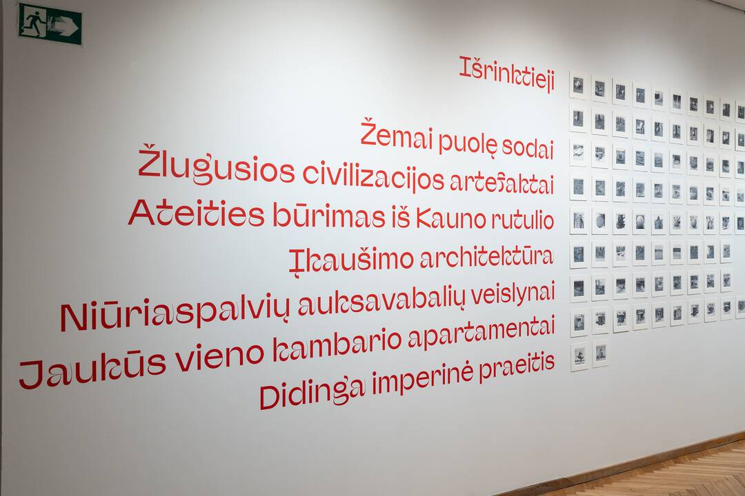 Detalės: J. Račiūnaitė atkreipia dėmesį į akiai įprastus dalykus ir kviečia juos iš naujo įvertinti.