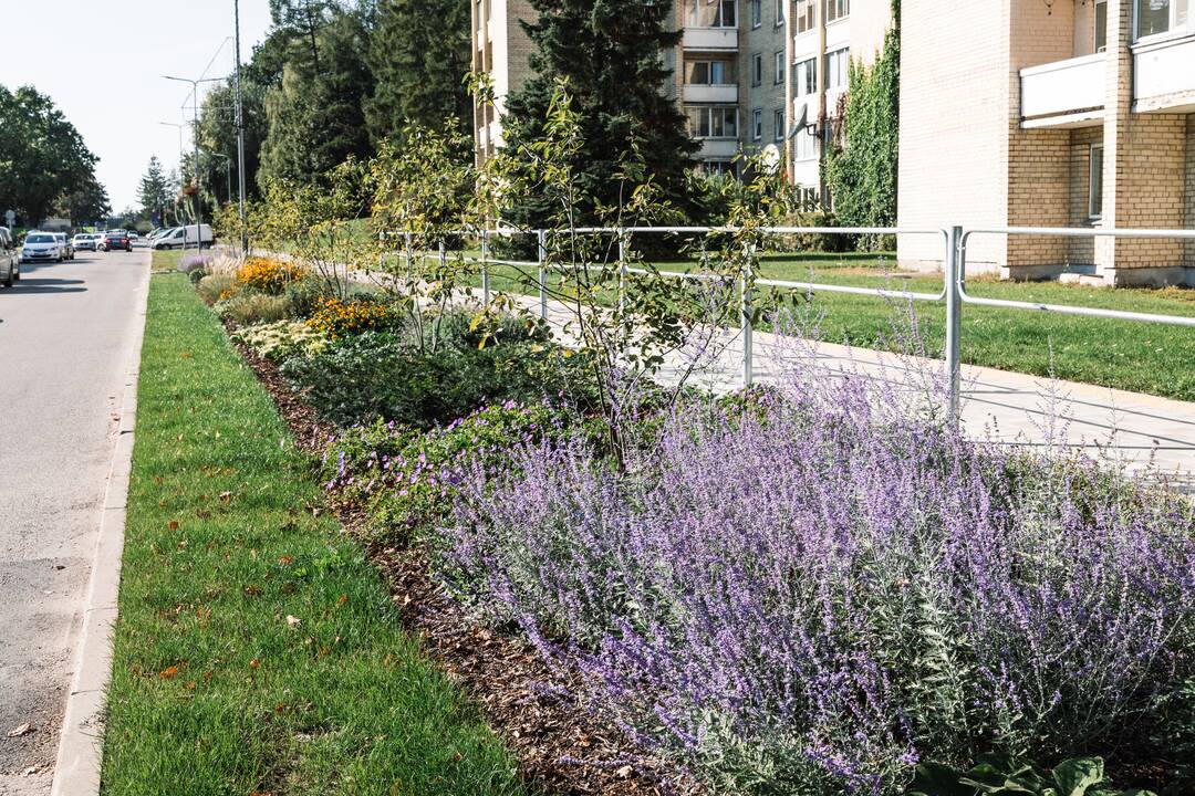 Želdiniai savo įvairumu, estetiškumu ir kitais aspektais miestui reikšmingi, nes kuria žmogui palankų mikroklimatą ir kokybiškesnes gyvenimo ir poilsio sąlygas.