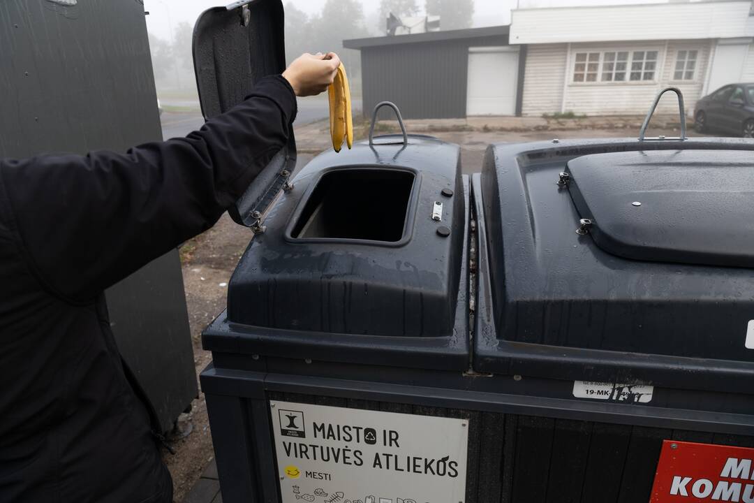 Nepatogu: pasak kaunietės, kol nėra tinkamos taros, ji maisto atliekas mes į komunalinių atliekų konteinerius.