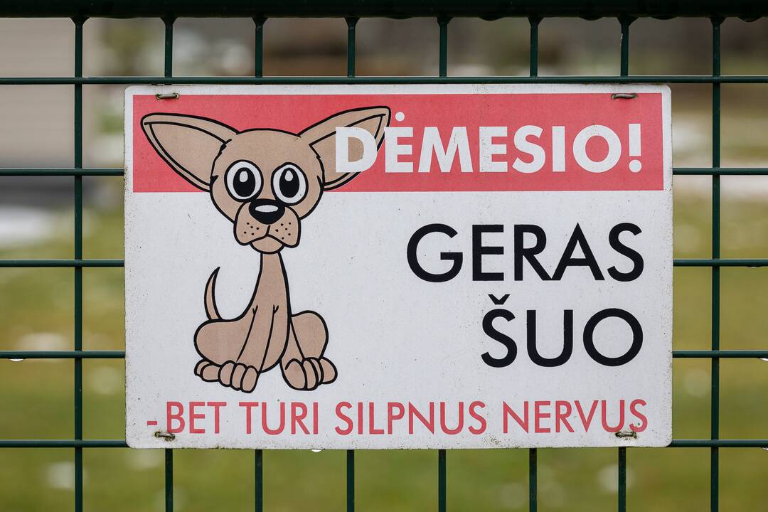 Ypatumai: sodų bendrijose namų dydis ir formos sudaro specifinį margumyną. 