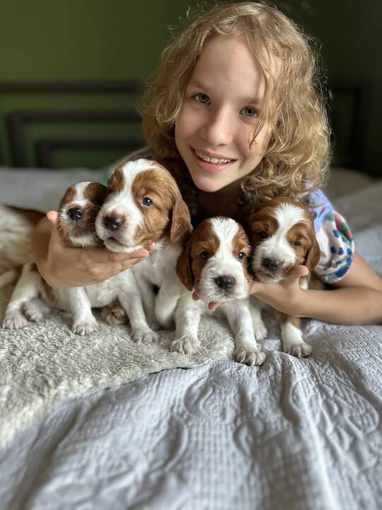 Dovana: I. ir G. Drevinskai, augindami valų springerspanielę Ventą, patyrė daug pirmų kartų ir atradimų.