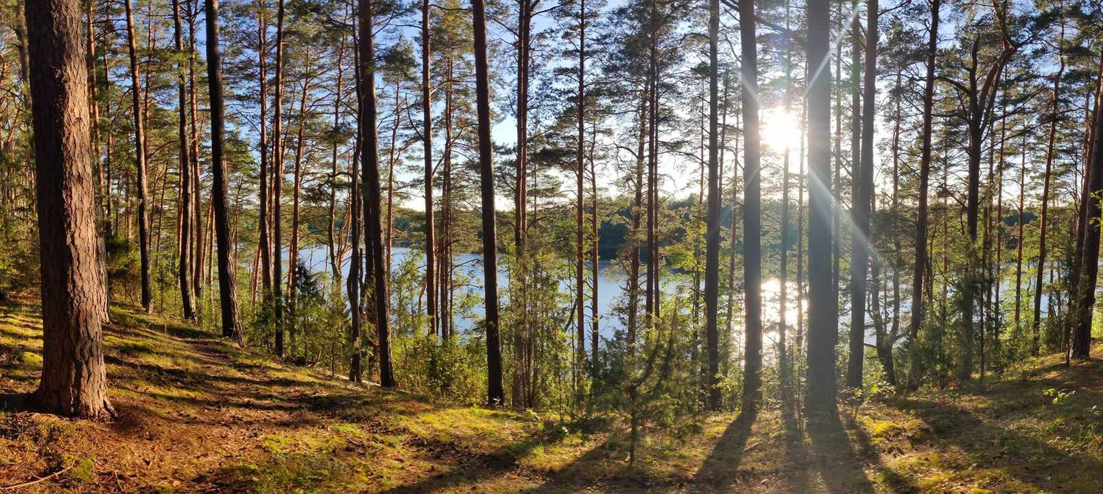 Rutina: prasidėjus mokslo metams gimnazistai ant dviračio lipa kur kas rečiau.
