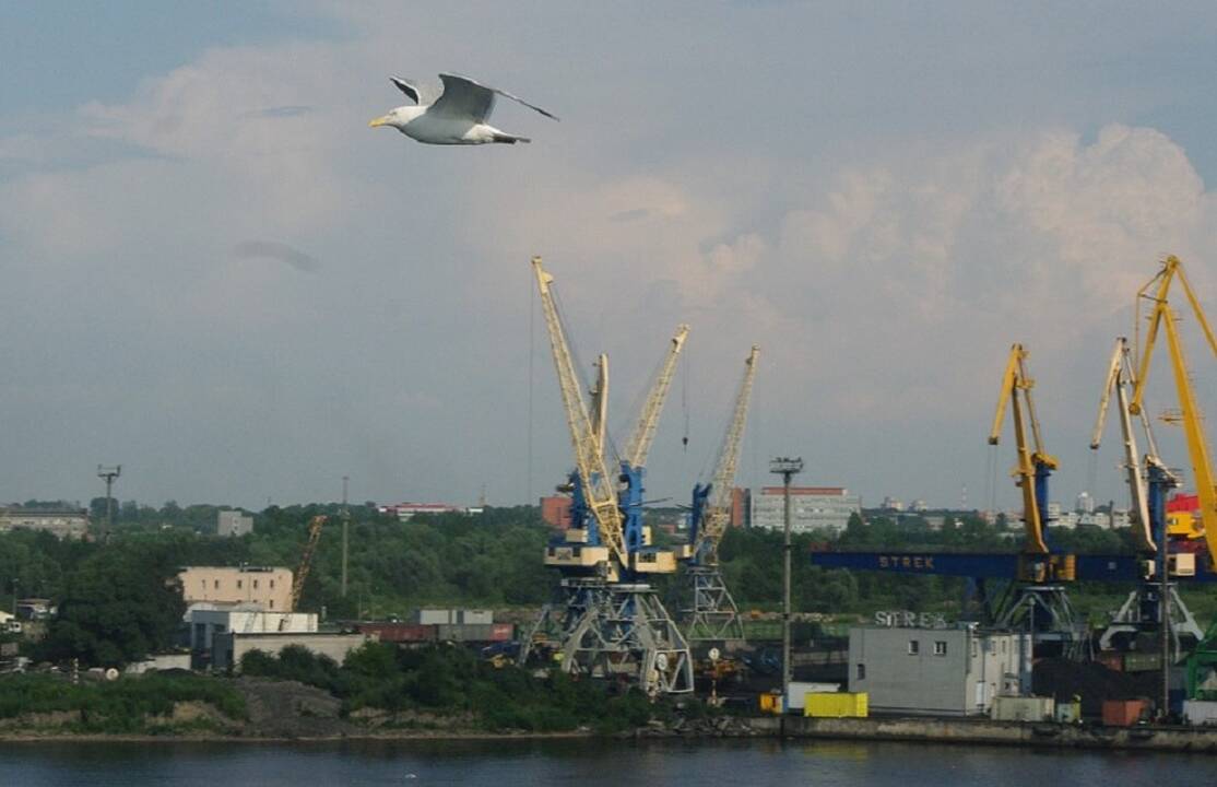 Skirtumai: Rygos uosto skrydis į valstybės valdomą modelį, kaip Klaipėdoje, nepasiteisino.