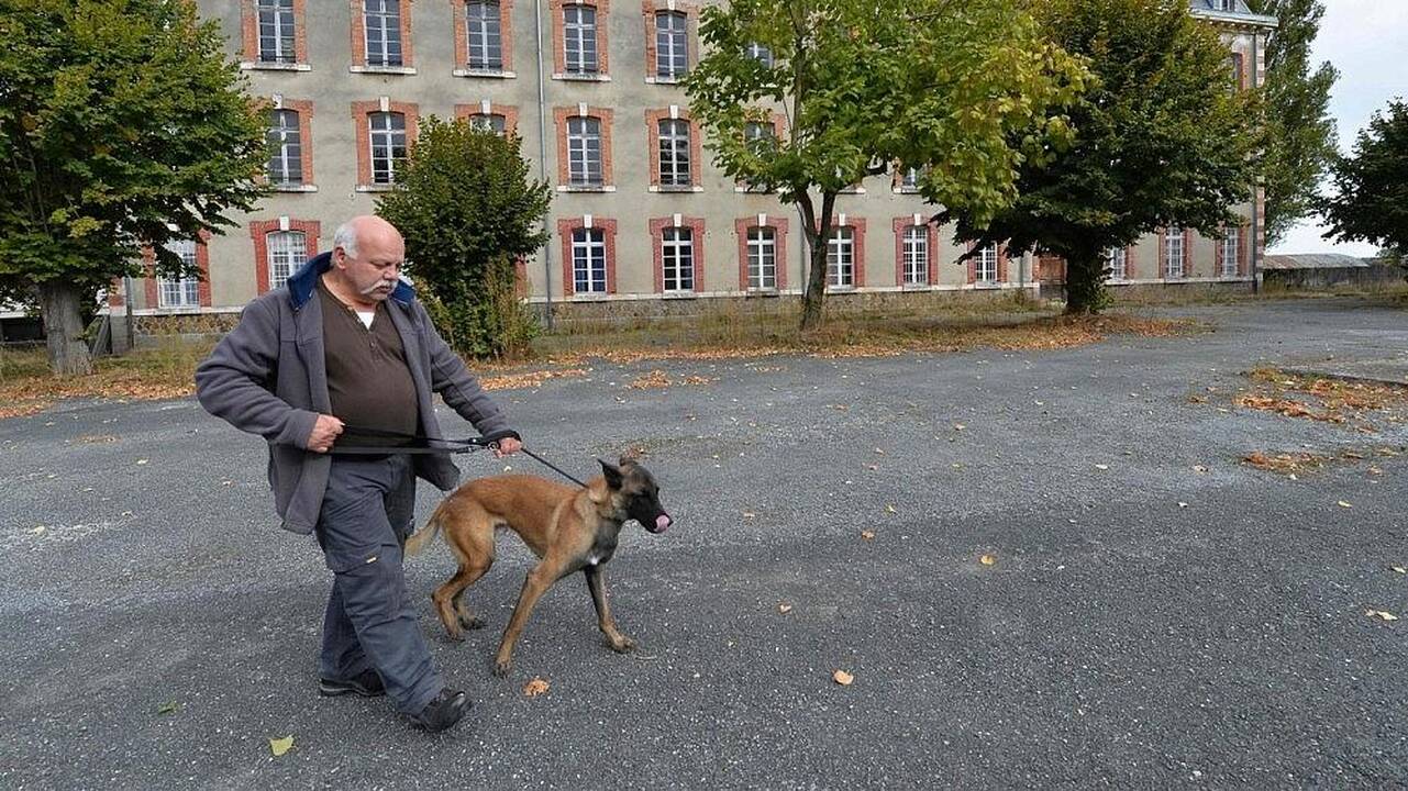 Prancūzijoje šunys mokosi užuosti vėžį