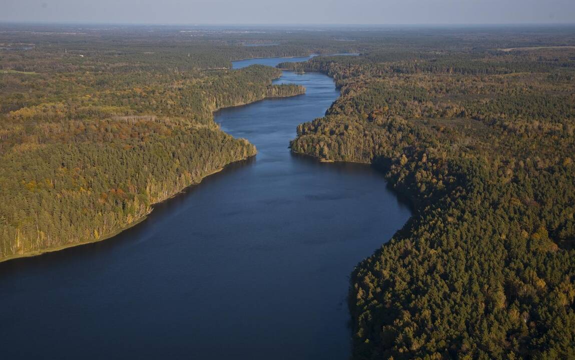 Dubingių piliavietė