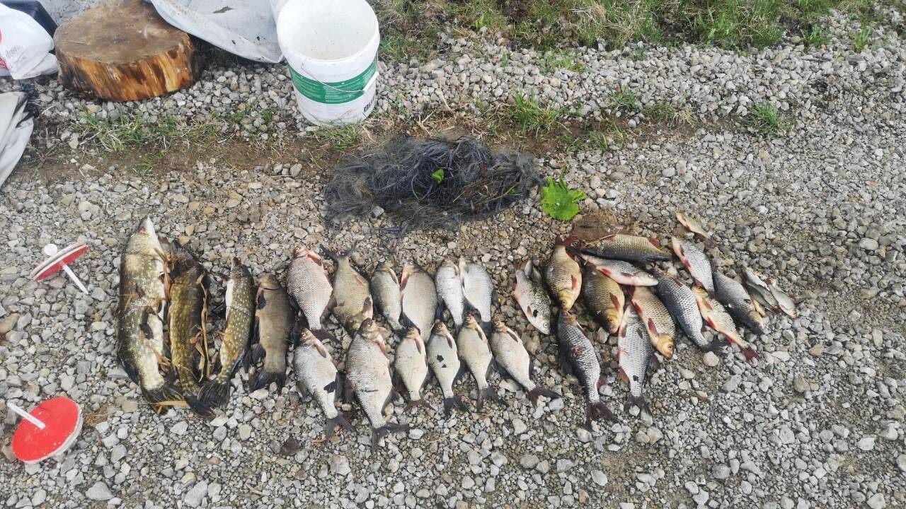 Po pasalos, trukusios parą, sulaikyti du brakonieriai