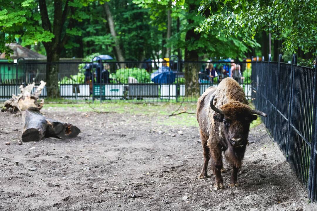 Lietuvos zoologijos sodo gimtadienis