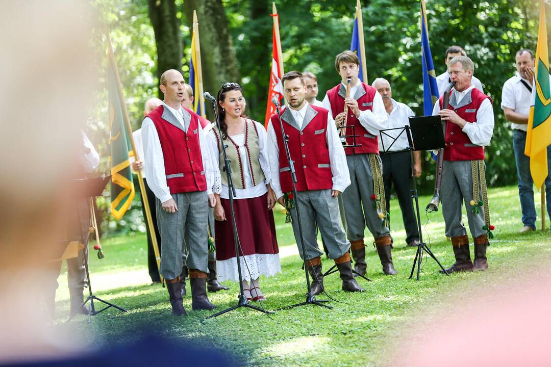 Valstybės gimtadienio šventė Raudondvaryje