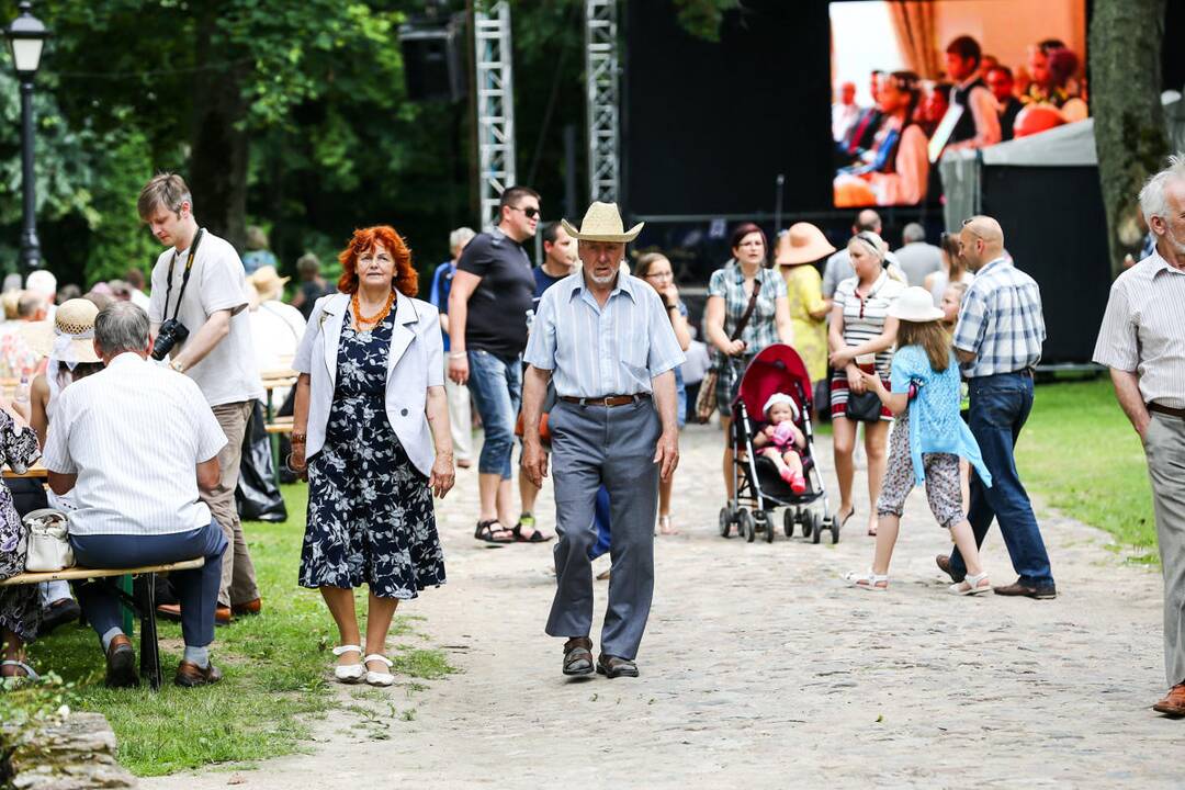 Valstybės gimtadienio šventė Raudondvaryje