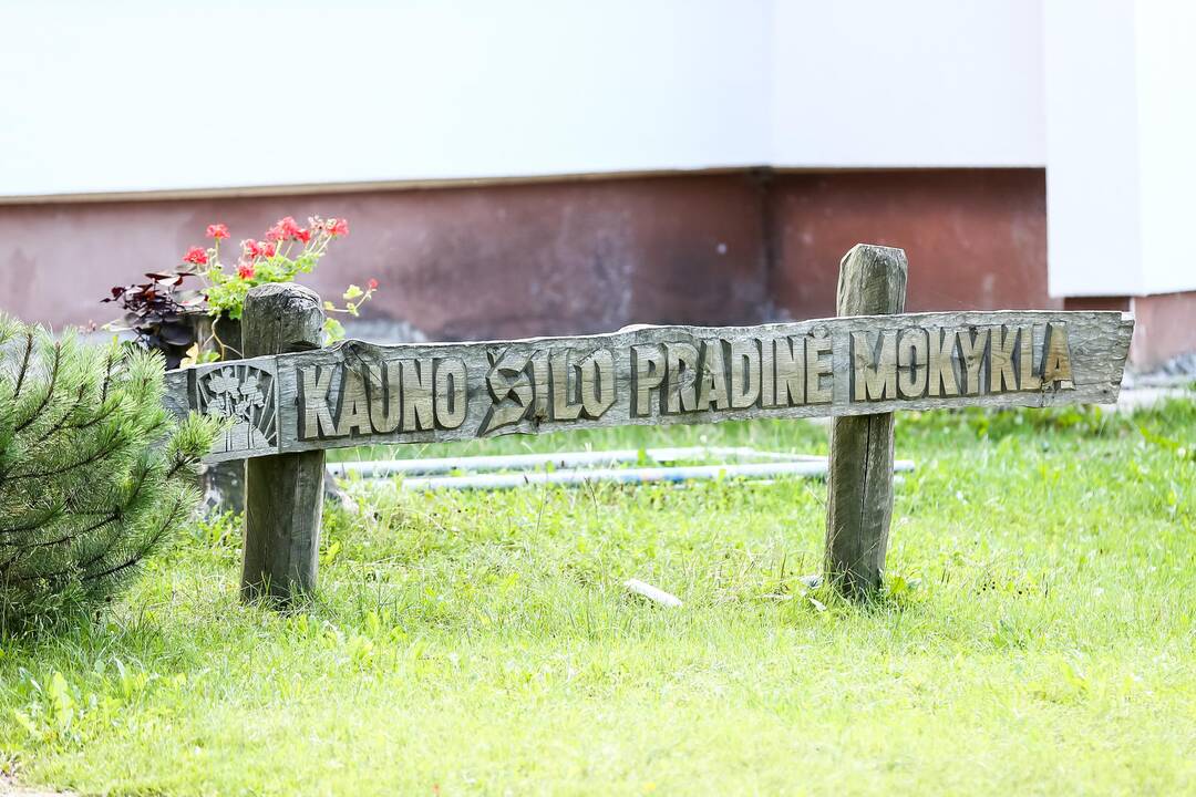 Kauno "Šilo" ir Panemunės pradinių mokyklų apsauga
