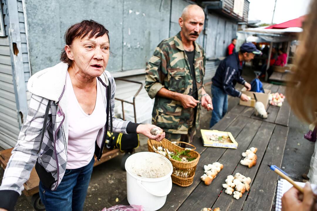 Turguje prasideda prekyba grybais