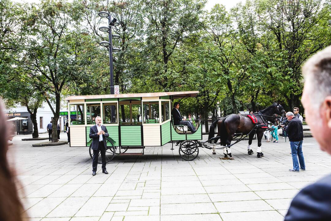 Konkė Laisvės alėjoje