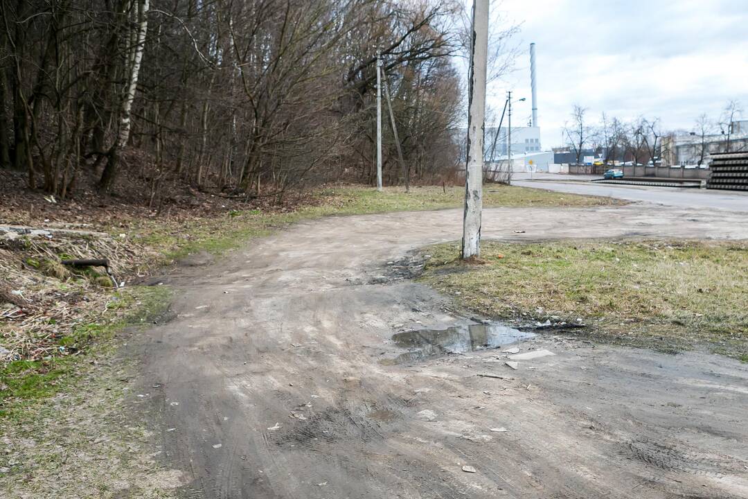 Šaltinis L. Ivinskio gatvėje
