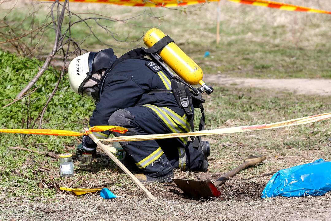 Aleksote rasta išsiliejusio gyvsidabrio