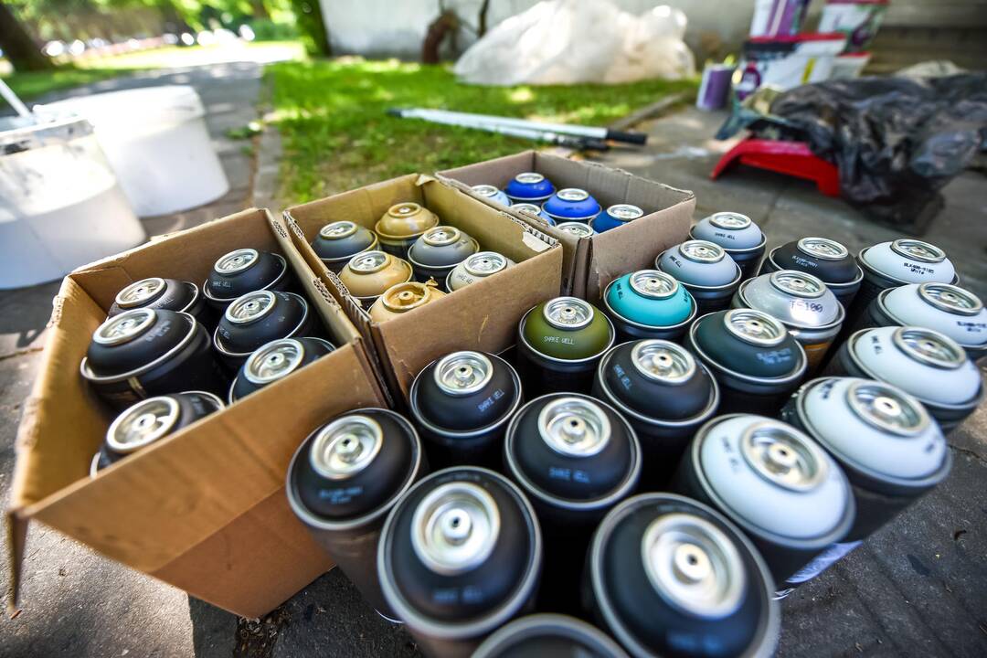 Gatvės meno festivalis "Nykoka"