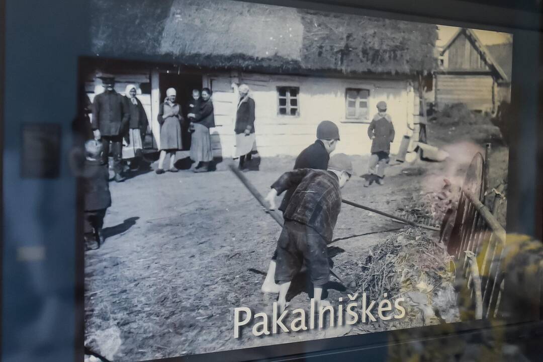 Kauno marių pakrantės vilioja ir lietingu oru