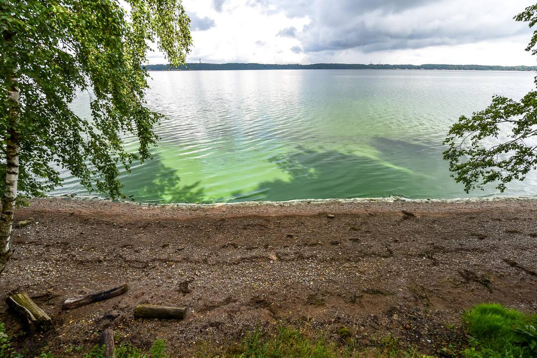 Kauno marių pakrantės vilioja ir lietingu oru