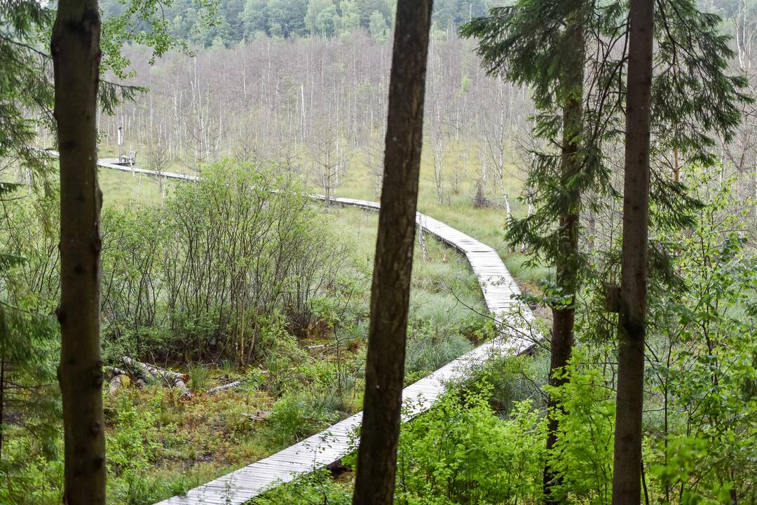 Kauno marių pakrantės vilioja ir lietingu oru