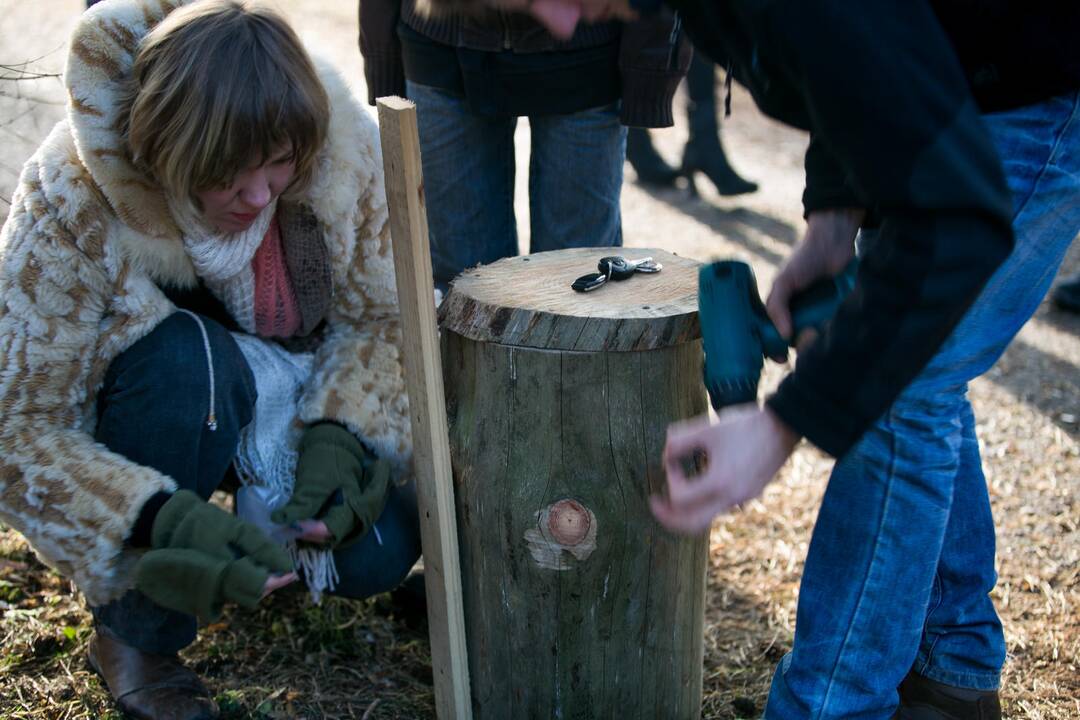 Inkilų kėlimo akcija „Pelėdžiukas 2014”