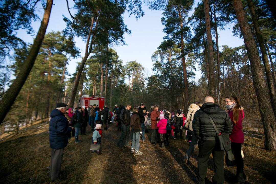 Inkilų kėlimo akcija „Pelėdžiukas 2014”