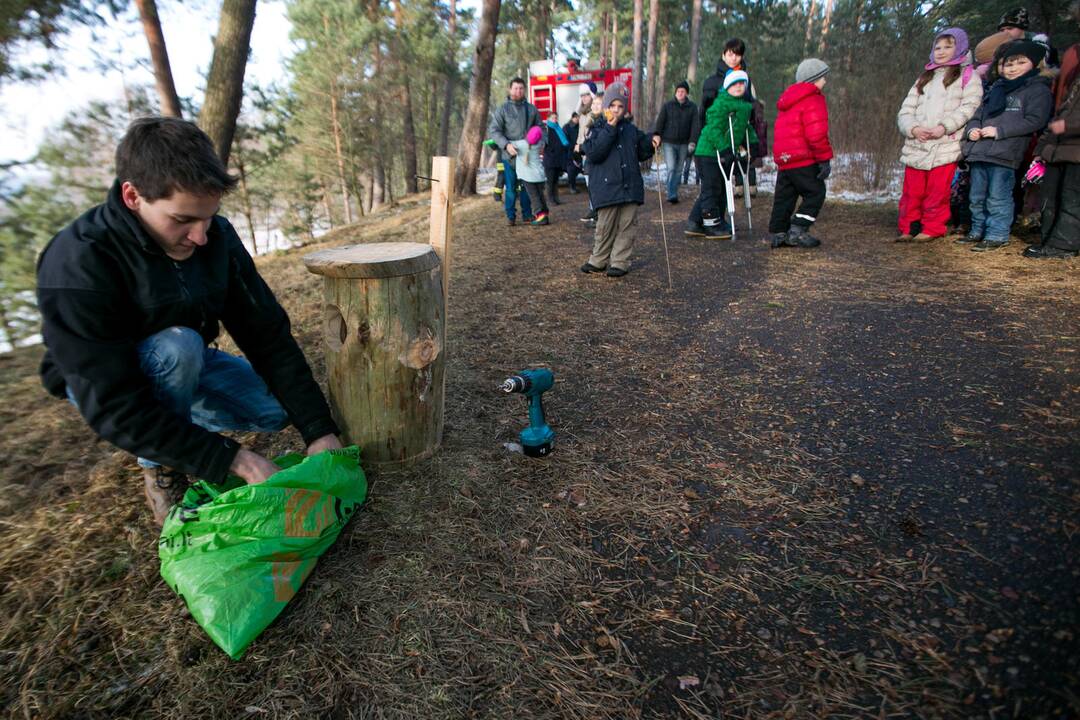 Inkilų kėlimo akcija „Pelėdžiukas 2014”