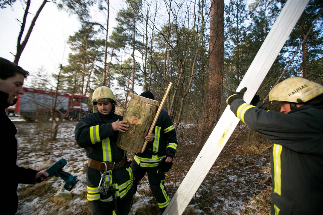 Inkilų kėlimo akcija „Pelėdžiukas 2014”