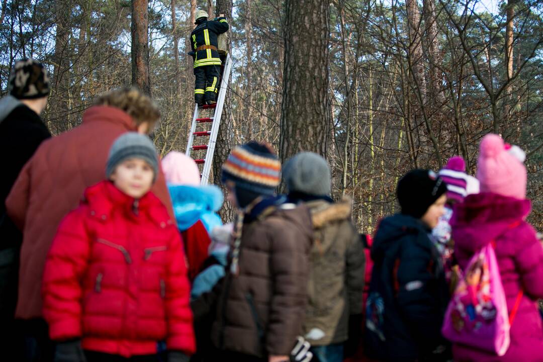 Inkilų kėlimo akcija „Pelėdžiukas 2014”