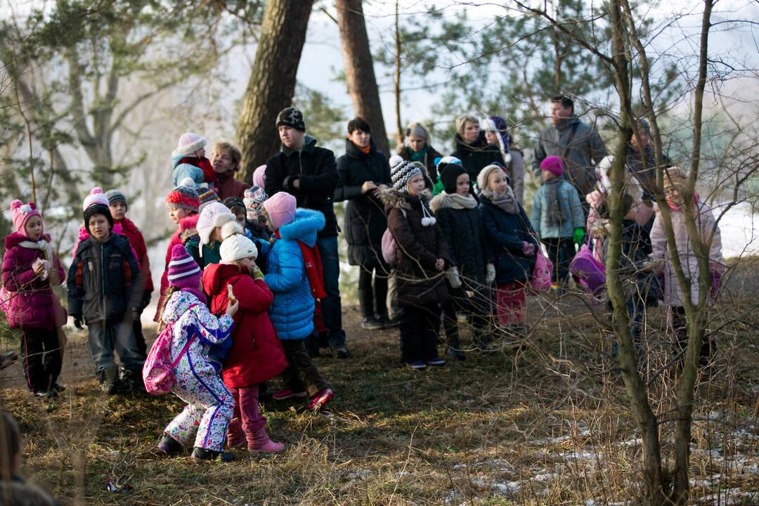 Inkilų kėlimo akcija „Pelėdžiukas 2014”