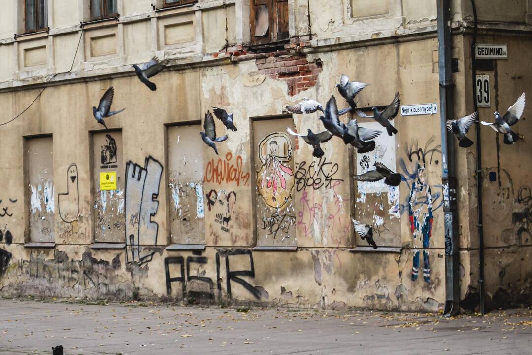 Auksinis ruduo Kaune