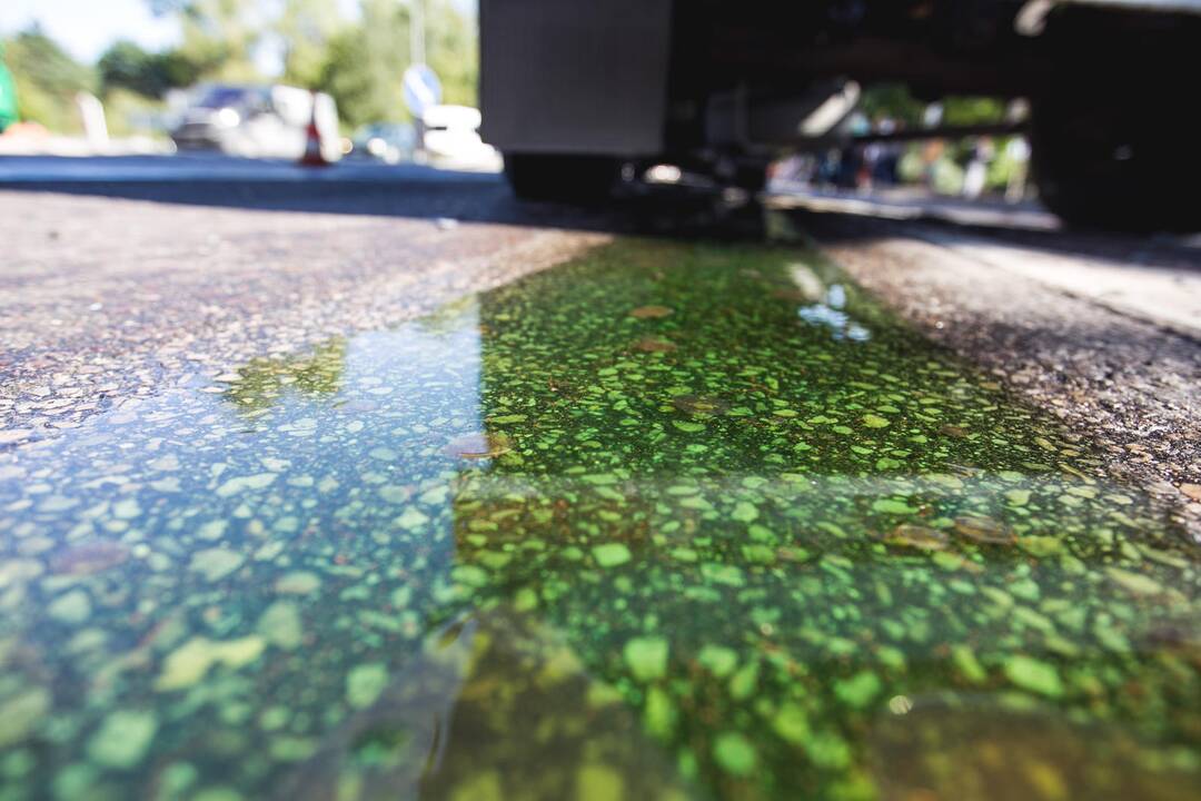 Ramučiuose per "Audi" ir vilkiko avariją sužeisti du žmonės