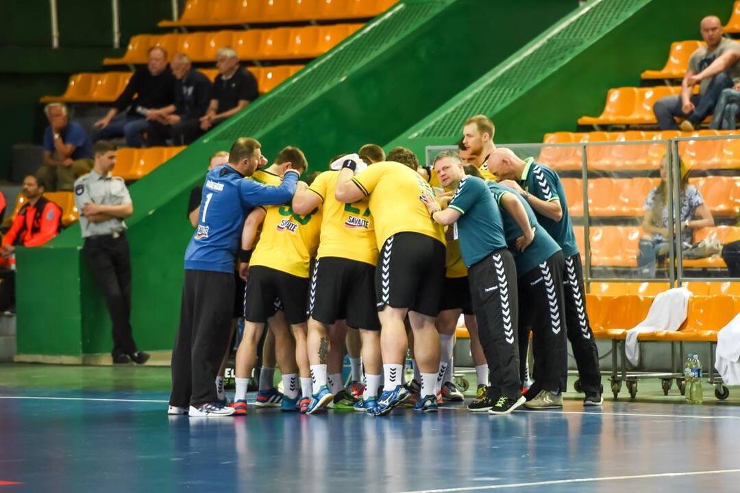 Europos vyrų rankinio čempionato atranka: Lietuva – Danija