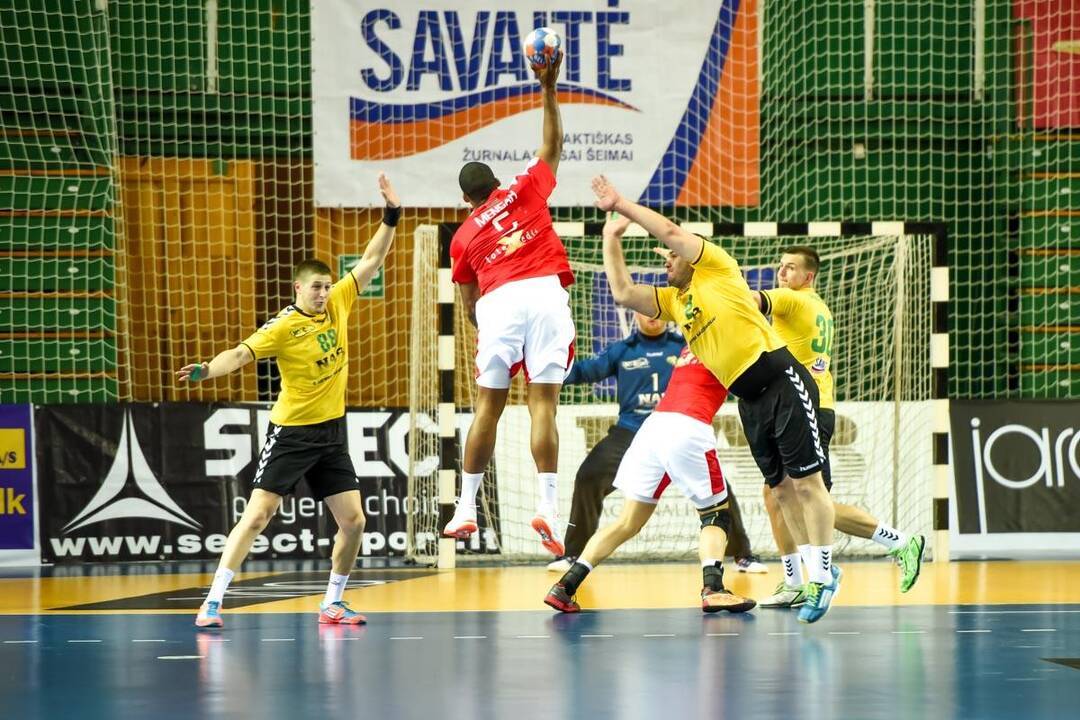 Europos vyrų rankinio čempionato atranka: Lietuva – Danija