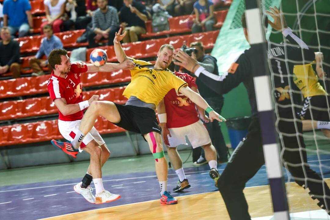 Europos vyrų rankinio čempionato atranka: Lietuva – Danija