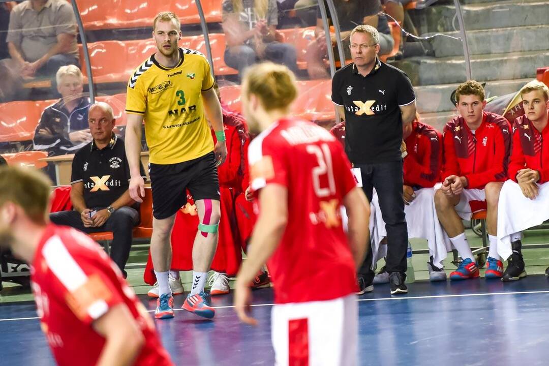 Europos vyrų rankinio čempionato atranka: Lietuva – Danija