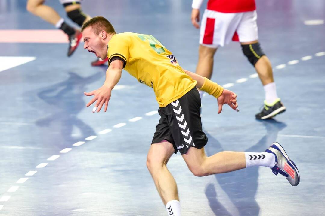 Europos vyrų rankinio čempionato atranka: Lietuva – Danija