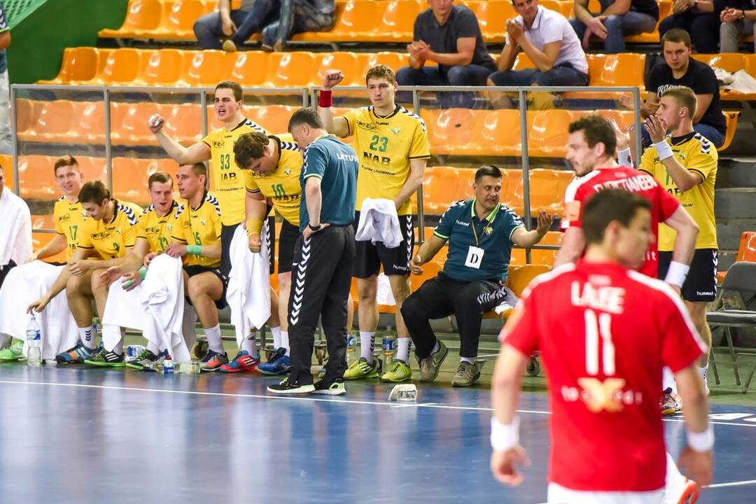 Europos vyrų rankinio čempionato atranka: Lietuva – Danija